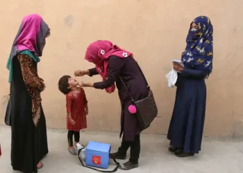 पाकिस्तान में 18 जिलों के सीवेज-सैंपल में मिला पोलियो वायरस:इस साल पोलियो के 6 केस मिल चुके; पिछले साल 74 मामले दर्ज किए