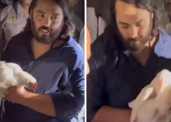 Video: कहां हैं 250 मुर्गियां, जिनकी अनंत अंबानी ने बचाई जान, एक मुर्गी को उठाकर कही थी ये बात