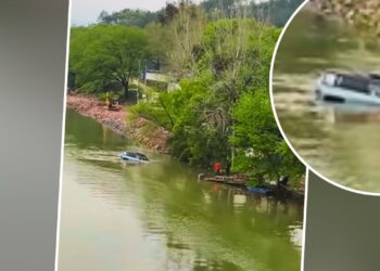 Viral: नदी में दौड़ा दी SUV, आगे का सीन देख भौचक्की रह गई पब्लिक; देखें वीडियो