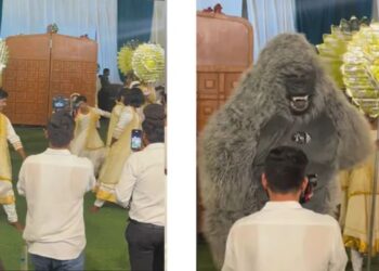 Viral Video: चल रहा था दूल्हा-दुल्हन की एंट्री का डांस, सामने से आया ऐसा मेहमान हो गई यूनिक एंट्री
