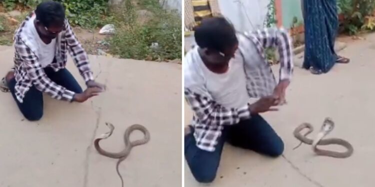 Viral: कोबरा के सामने करने लगा ‘नागिन डांस’, फिर जो हुआ…देख उड़ गए सबके होश!