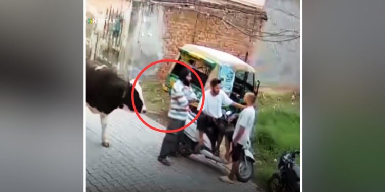 Viral Video: सांड की ‘दरियादिली’ तो देखिए जरा, लोग बोले- ऐसा सांड आज तक नहीं देखा!