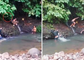 Viral Video: जंगल में नहाते युवक पर अचानक सांप ने किया हमला, मुश्किल से बची जान