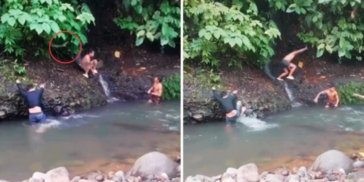 Viral Video: जंगल में नहाते युवक पर अचानक सांप ने किया हमला, मुश्किल से बची जान