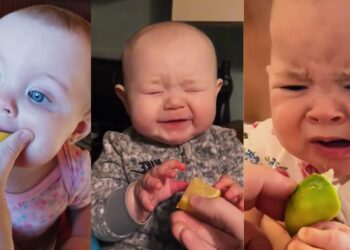 पहली बार नींबू टेस्ट करते ही बच्चों ने दिया ऐसा गजब का रिएक्शन, VIDEO हो गया वायरल