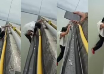 Viral Video: खुद को रिस्क में डालकर देश के सबसे बड़े पुल पर बंदे ने किया ये काम, स्टंट देख माथा पकड़ लेंगे आप