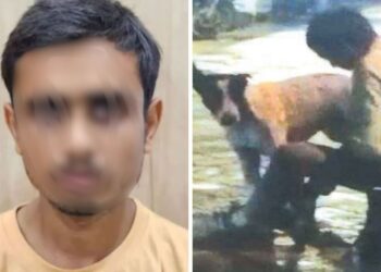 शर्मनाक! लखनऊ में डॉगी से रेप करने वाला युवक अरेस्ट, वीडियो वायरल होने के बाद खूब मचा था हंगामा