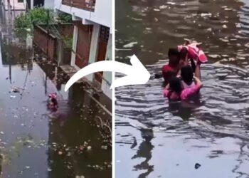 Viral: ‘हे गंगा मैया दया करो!’ बाढ़ के पानी में ‘बाहुबली’ की तरह नवजात को बचाते दिखे माता-पिता
