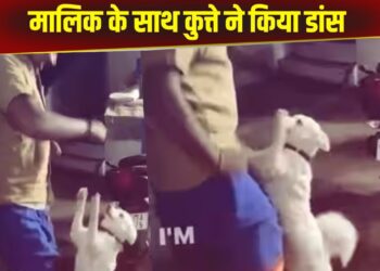 Viral Video: मालिक के साथ कुत्ते ने किया जबरदस्त डांस, भांगड़ा स्टाइल में दी परफॉर्मेंस