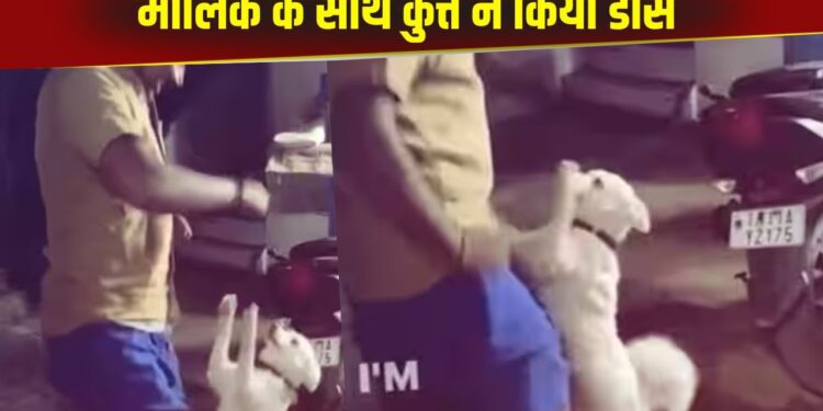 Viral Video: मालिक के साथ कुत्ते ने किया जबरदस्त डांस, भांगड़ा स्टाइल में दी परफॉर्मेंस