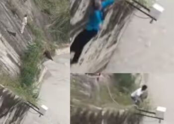 OMG! लाख मना करने के बाद भी पानी में कूद गई लड़की, सुसाइड का डरावना वीडियो हुआ वायरल