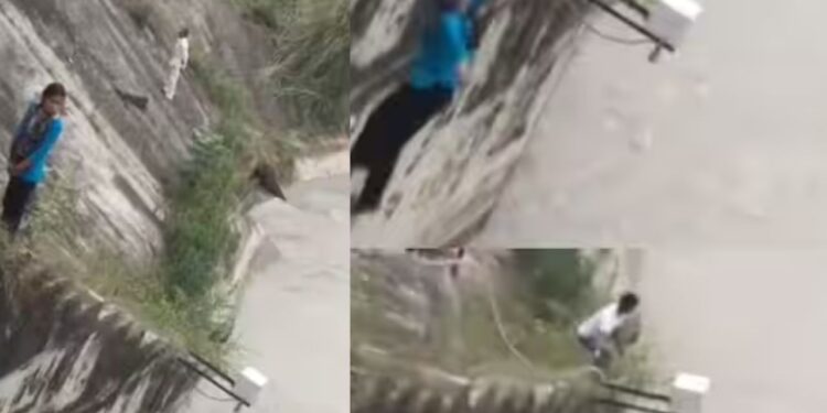 OMG! लाख मना करने के बाद भी पानी में कूद गई लड़की, सुसाइड का डरावना वीडियो हुआ वायरल