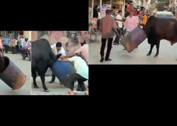 Viral Video: बीच बाजार सांड की गर्दन में फंसा नीला ड्रम, लोग करने आए मदद तो दिखा ऐसा सीन