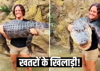 Viral: महिला ने मगरमच्छ को बच्चे की तरह गोद में उठाया, वीडियो देख लोग हैरान!