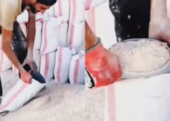 Viral Video: मेहनत से नहीं स्मार्ट तरीके से काम करता दिखा मजदूर, स्किल देख आप भी करेंगे तारीफ