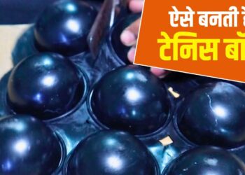 Viral Video: ऐसे बनती है टेनिस बॉल, 22 करोड़ लोगों ने देखा यह वीडियो