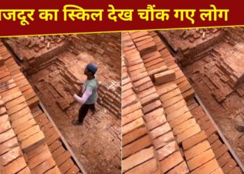 VIDEO: मजदूर ने दिखाई गजब की स्किल, क्या आप कर पाएंगे ऐसा?