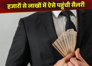 OMG! बंदे ने 22 हजार की सैलरी को 2.2 लाख में किया कनवर्ट, किस्मत ने नहीं कर्म से तय किया सफर