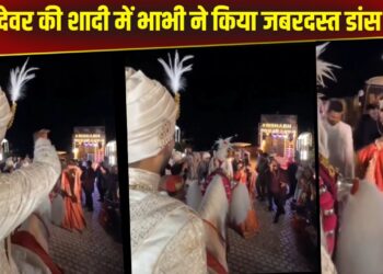 Viral Video: शादी में भाभी ने डांस से उड़ाया गर्दा! घोड़ी पर बैठकर देखते रह गए देवर जी