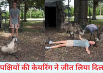 VIDEO: पक्षियों के सामने लड़की ने किया बेहोश होने का नाटक, फिर जो हुआ…देख खुश हो जाएगा दिल