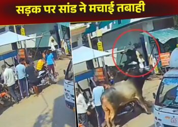 Viral Video: सांड ने सड़क पर मचाई तबाही, 2 सेकंड में बदल दिया पूरा मंजर…CCTV में कैद हुआ खतरनाक नजारा