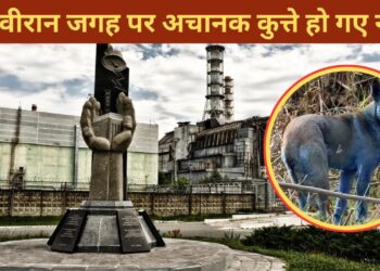 Ajab Gajab: जिस जगह हुआ था भयानक हादसा, वहां रहस्यमय तरीके से नीले पड़ने लगे कुत्ते, कर्मचारियों के उड़े होश
