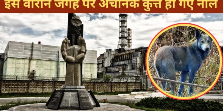 Ajab Gajab: जिस जगह हुआ था भयानक हादसा, वहां रहस्यमय तरीके से नीले पड़ने लगे कुत्ते, कर्मचारियों के उड़े होश