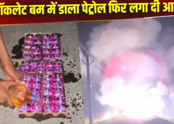 Viral Video: चॉकलेट बम में डाला पेट्रोल फिर लगा दी आग, सामने हुआ ऐसा विस्फोट