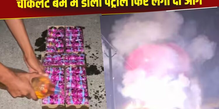 Viral Video: चॉकलेट बम में डाला पेट्रोल फिर लगा दी आग, सामने हुआ ऐसा विस्फोट
