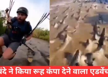 इसे कहते हैं खतरनाक एडवेंचर! VIDEO देख मुंह को आ जाएगा कलेजा, यकीन न हो तो देख लें