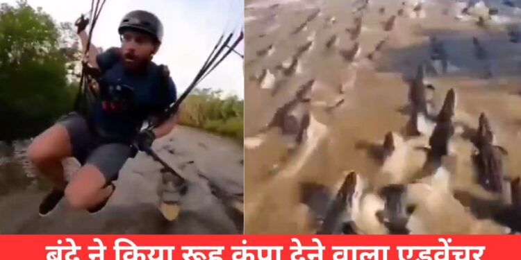 इसे कहते हैं खतरनाक एडवेंचर! VIDEO देख मुंह को आ जाएगा कलेजा, यकीन न हो तो देख लें
