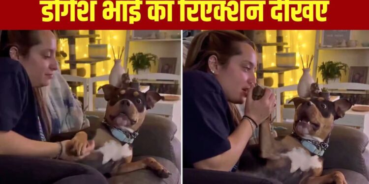 Viral Video: डोगेश भाई के साथ महिला ने किया ‘खतरनाक’ प्रैंक! कुत्ते का रिएक्शन देख छूट जाएगी हंसी