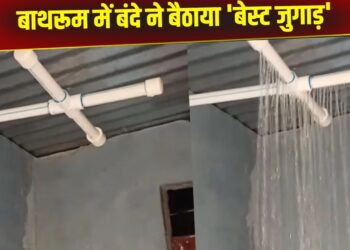 Viral Video: बाथरूम में बंदे ने फिट किया शावर, जुगाड़ टेक्नोलॉजी देख नहीं होगा आंखों पर यकीन