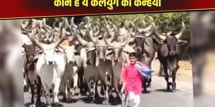 Viral Video: कौन है ये कलयुग का कन्हैया, जिसकी एक आवाज पर खींचे चली आती है सैकड़ों गाय