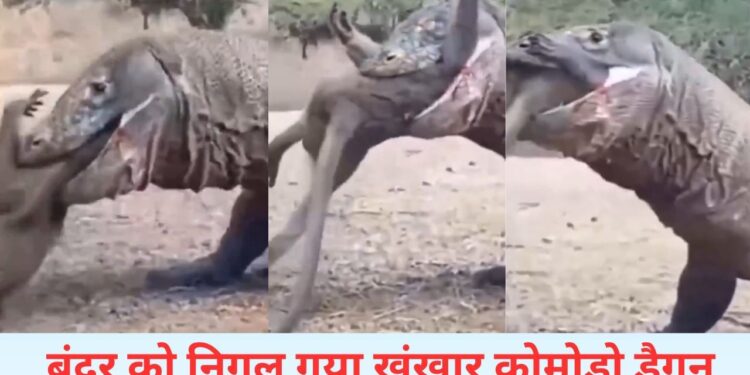 शैतान का दूसरा नाम है ये जानवर, देखिए कैसे बंदर को निगल गया; चौंका देगा VIDEO