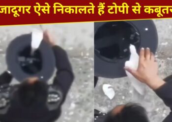 जादूगर टोपी से कैसे निकाल देते हैं कबूतर? ये VIDEO देख समझ जाएंगे पूरी ट्रिक