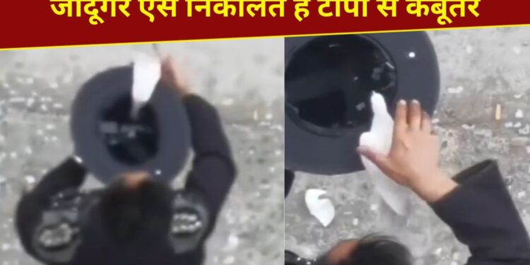 जादूगर टोपी से कैसे निकाल देते हैं कबूतर? ये VIDEO देख समझ जाएंगे पूरी ट्रिक