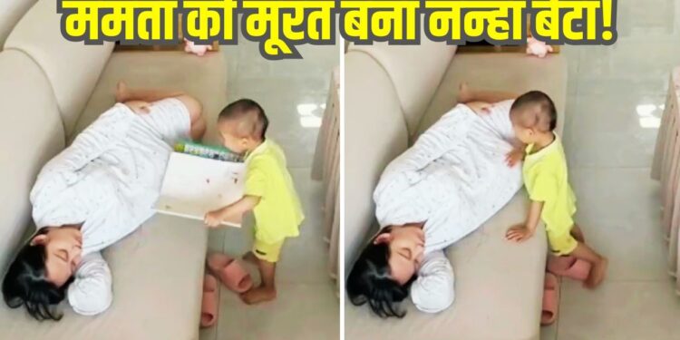 Viral Video: ममता की मूरत बना नन्हा बेटा! प्रेग्नेंट मां के लिए जो किया आप भी देखिए
