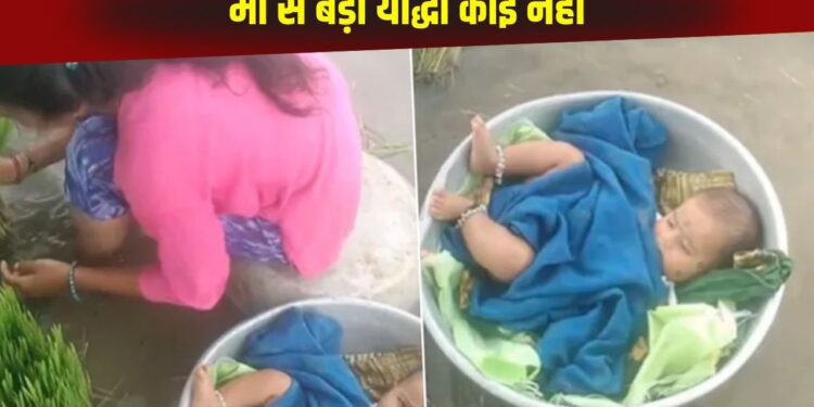 Viral: नन्ही परी का ध्यान रखते हुए महिला करती दिखी खेत में काम, वीडियो देख लोग बोले- मां सच में किसी योद्धा कम नहीं!