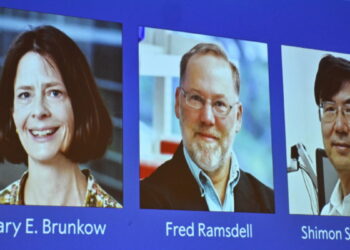 Nobel Prize 2025: इन तीन वैज्ञानिकों को मिला चिकित्सा का नोबेल पुरस्‍कार,आटोइम्यून बीमारियों से जुड़ी खोज की | Nobel Prize 2025: Nobel Prize awarded to 3 scientists working on the immune system