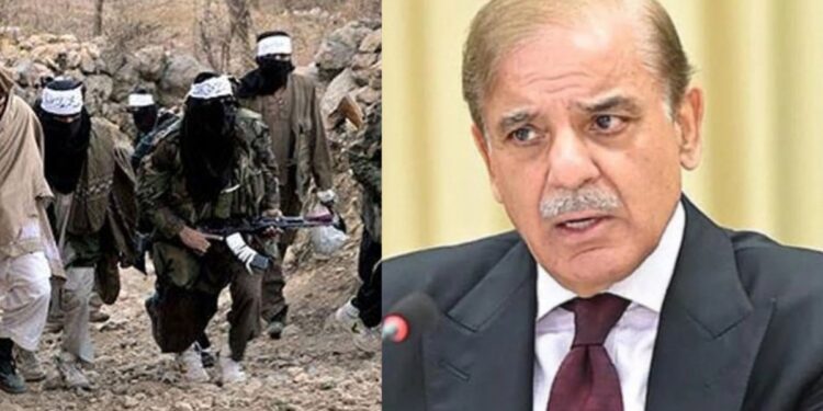 Taliban और Pakistan के बीच हुई ये कैसी सीक्रेट मीटिंग? दोहा में रातोंरात हुआ युद्धविराम, सामने आई ये अपडेट | pakistan afghanistan ceasefire doha peace talks qatar mediation