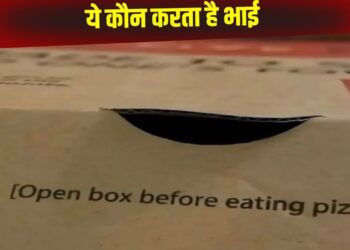 OMG! पिज्जा बॉक्स पर लिखा ये Instruction हर किसी ने किया नजरअंदाज, अब हुआ वायरल तो सबकी छूटी हंसी