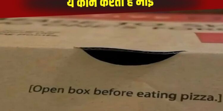 OMG! पिज्जा बॉक्स पर लिखा ये Instruction हर किसी ने किया नजरअंदाज, अब हुआ वायरल तो सबकी छूटी हंसी