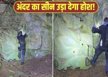 VIRAL: चट्टान के पीछे छिपा था ‘खुफिया दरवाजा’! अंदर का सीन देख उड़े लोगों के होश; देखें VIDEO