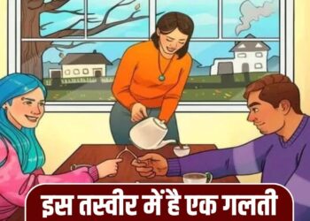 इस तस्वीर में कुछ तो गड़बड़ है, ढूंढ लिया तो मान जाएंगे आप हैं जीनियस!
