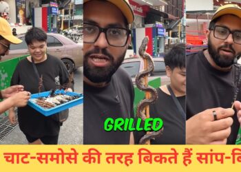 VIDEO: इस देश में खुलेआम बिकते हैं सांप-बिच्छू, मजे से खाते हैं लोग; इंडियन बंदे ने बताई सच्चाई