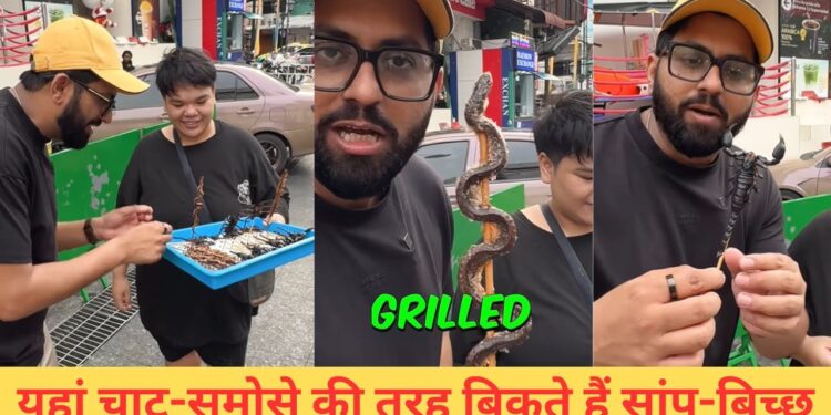 VIDEO: इस देश में खुलेआम बिकते हैं सांप-बिच्छू, मजे से खाते हैं लोग; इंडियन बंदे ने बताई सच्चाई