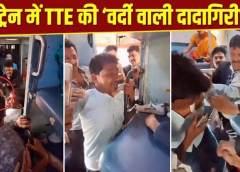 Viral: TTE ने यात्री को बेरहमी से पीटा, बाल नोचे, फोन छीना…वीडियो देख भड़की पब्लिक, पूछा- किसने दिया ये अधिकार?