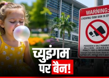 इस देश में च्युंइगम खाने पर है पाबंदी! वजह जानकर पकड़ लेंगे माथा! | Why-chewing-gum-banned-in-singapore-know the reason behind