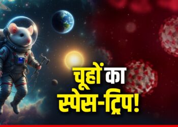 China Space Mission: चीन क्यों भेज रहा अंतरिक्ष में 4 चूहे? क्या कोरोना जैसी महामारी दोबारा फैलाने की तैयारी? | China Space Mission-lab-mice-experiment